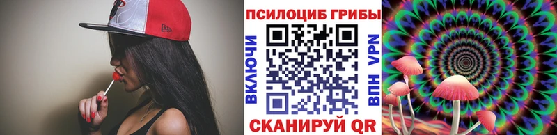 Галлюциногенные грибы Psilocybine cubensis  Купить закладки  Бор 